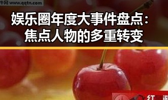 娱乐圈年度大事件盘点：焦点人物的多重转变